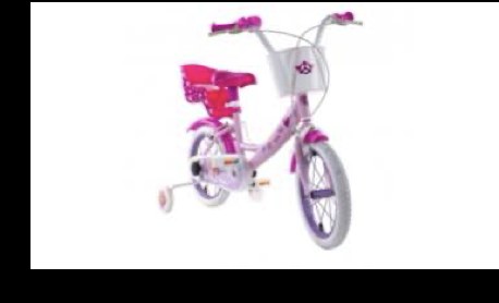 Bici Paw Patrol Gir 14 N08
